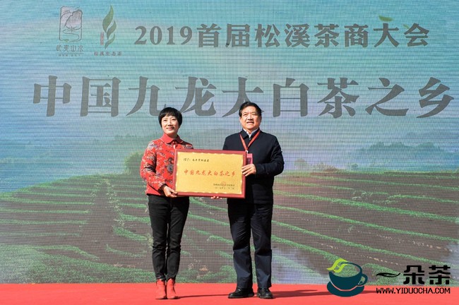 松溪县获“中国九龙大白茶之乡”称号。主办方供图