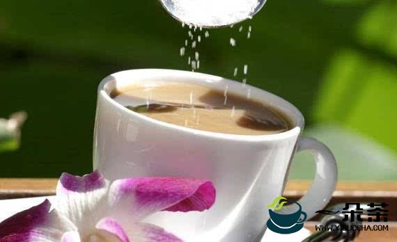 一杯茶含有多少咖啡因