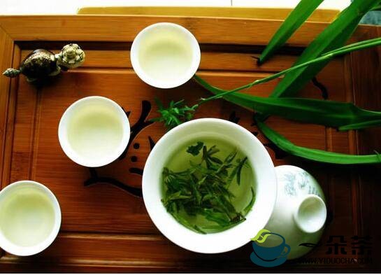 喝绿茶可预防多种癌症