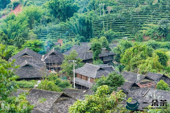 云南西盟：建设秀丽幸福边境村寨