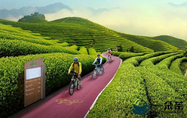 当下贵州茶产业面临的机遇和挑战