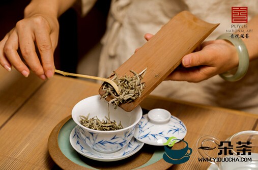 校园茶飘香，思茅一小学子比拼茶艺传承传统