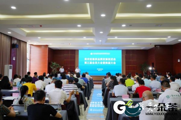 贵州省绿茶品牌发展促进会换届 选举徐谦为第三届理事会会长