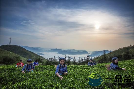 “潇湘五彩·瓷茶风云”湖南省瓷茶产业融合发展大会召开