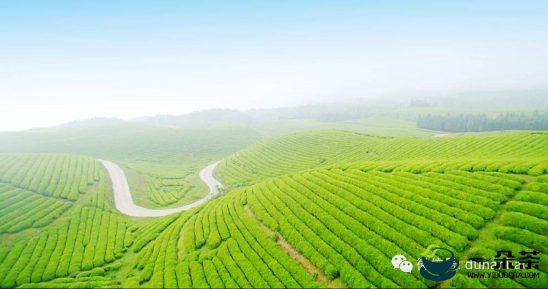 贵州茶产业甘南推介会：黎平茶香吸引了众多商家