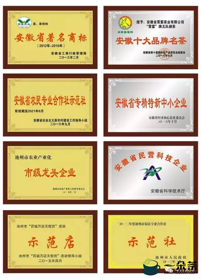 云南茶企被评为省级龙头资格