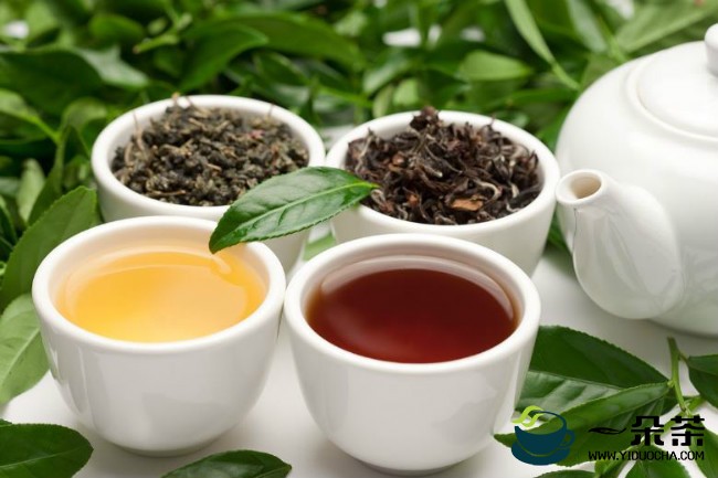 制茶技术——乌龙茶制造技艺