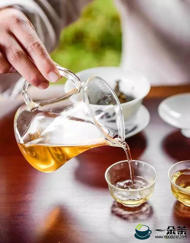 中医：长期喝普洱茶还能治病