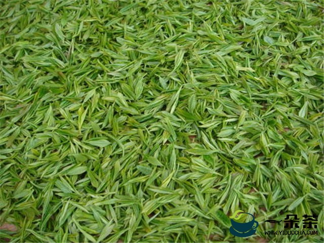 安徽泾县：茶产业成为强村富民的“绿色银行”