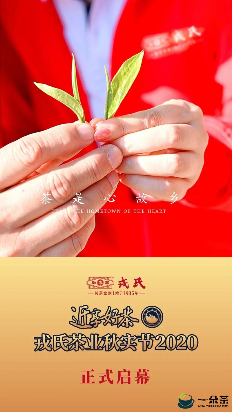茶是心故乡，近享好茶•戎氏茶业“秋实”节  正式启幕