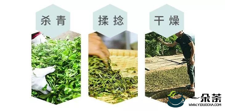普洱生茶的基本加工过程
