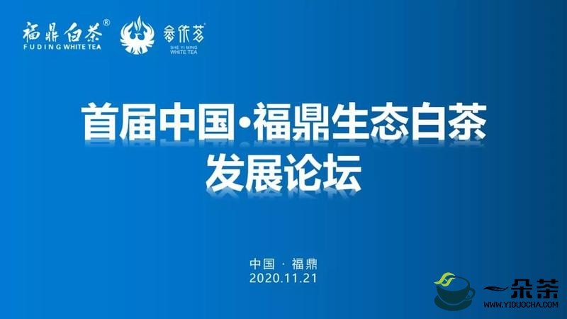 首届中国·福鼎生态白茶发展论坛即将即将开幕
