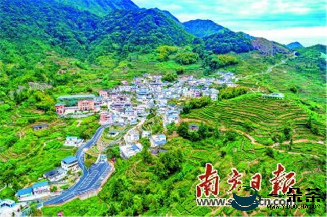 梅州大埔县上榜2020中国茶业百强县