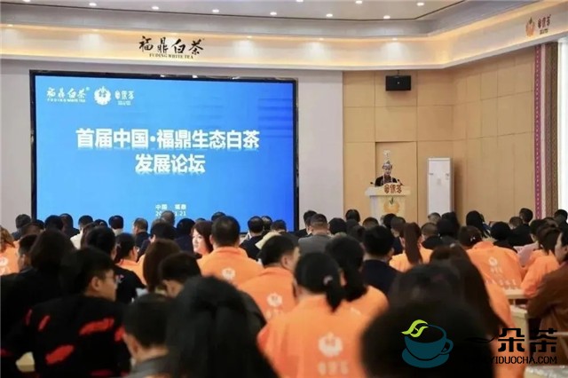 【视频】首届中国·福鼎生态白茶发展论坛举办