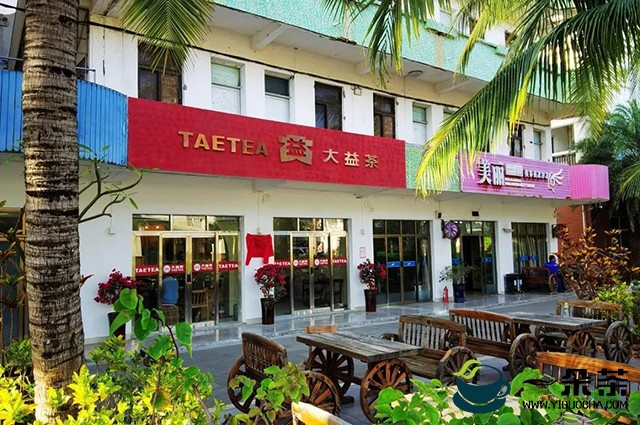 三沙大益茶庭店开业：天涯海角，哪里都有大益！