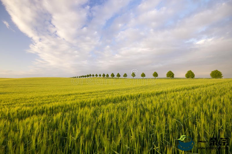 哈萨克斯坦谷物协会称有能力扩大谷物出口