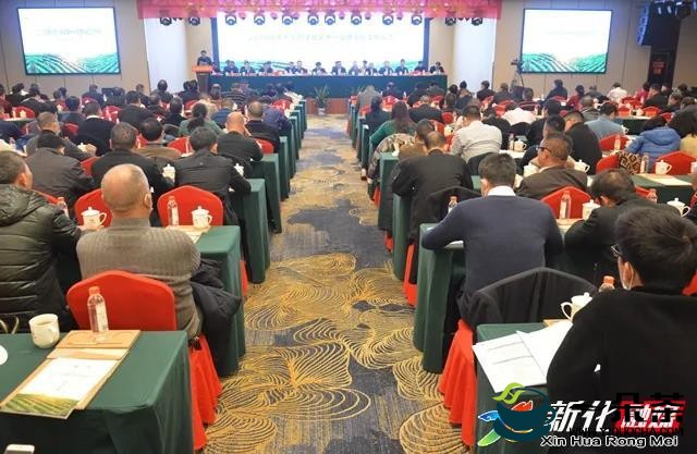 2020湖南茶业科技创新论坛暨新化红茶标准发布会在新化县开幕