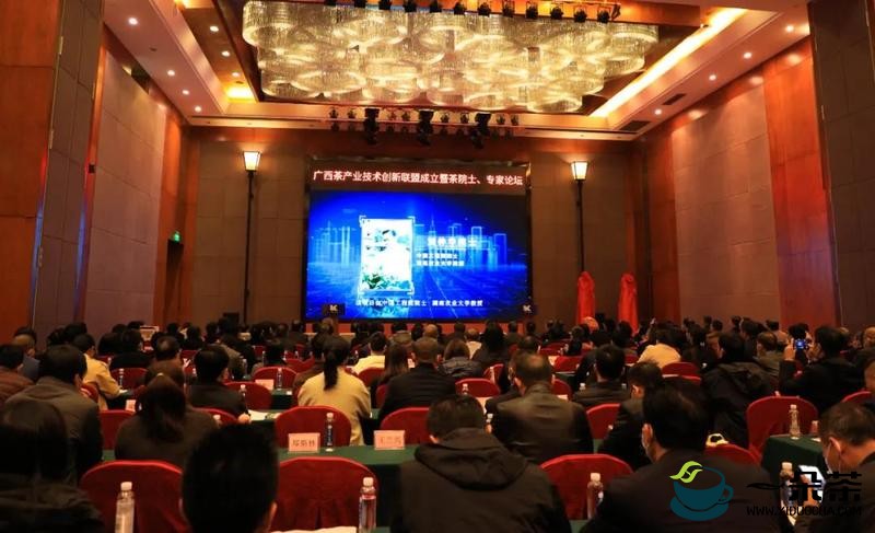 广西茶产业技术创新联盟成立仪式暨茶院士专家论坛举行
