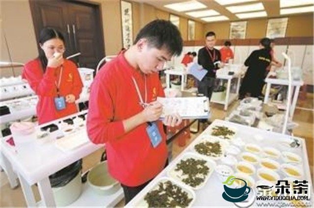2020年福建省评茶员职业技能竞赛在泉举行