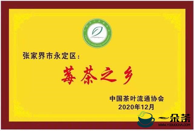 湖南：张家界永定区被授予“莓茶之乡”