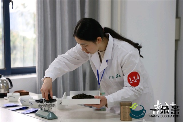 第二届全国评茶员职业技能竞赛广东省赛区预选赛举行