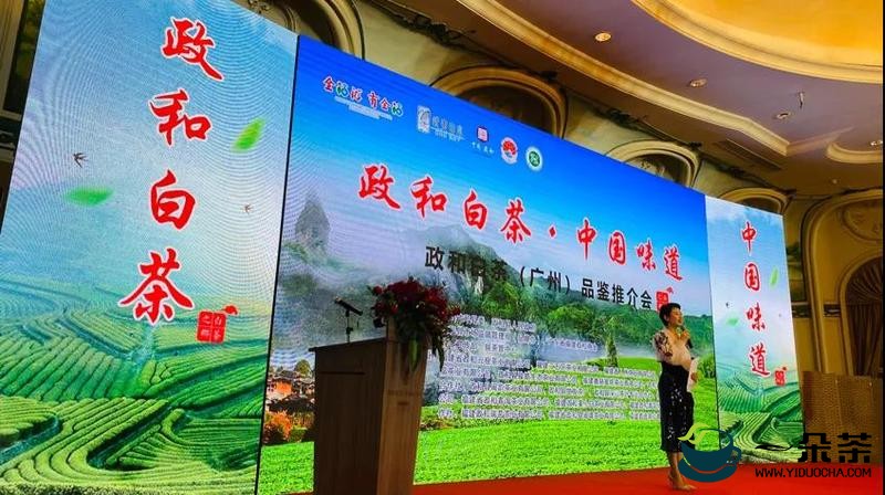 福建政和白茶推介会在广州成功举办