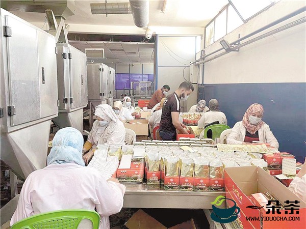 鹤峰茶企非洲建起茶叶加工厂 今年加工1000吨 销售额600多万美元