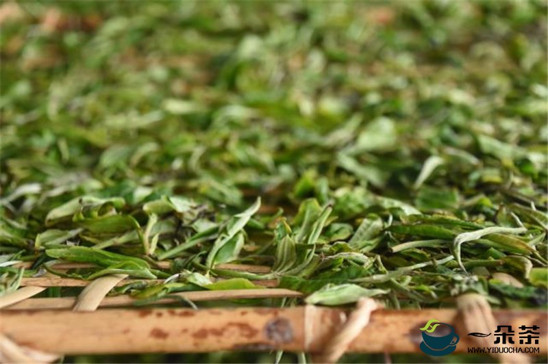 年产八千吨茶叶精制生产线在黄山区投产