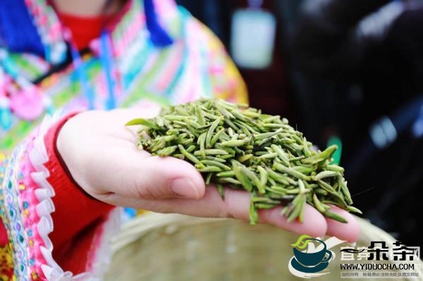 宜宾新增5家茶企授权使用“天府龙芽”地理标志