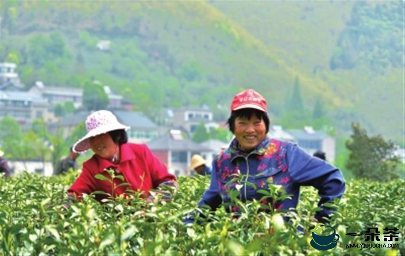 《中国茶产业“十四五”发展规划建议》在京发布