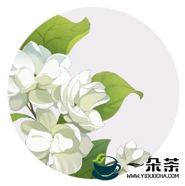 “国茶工匠”王德星--传承制茶技艺，振兴福州 茉莉花茶