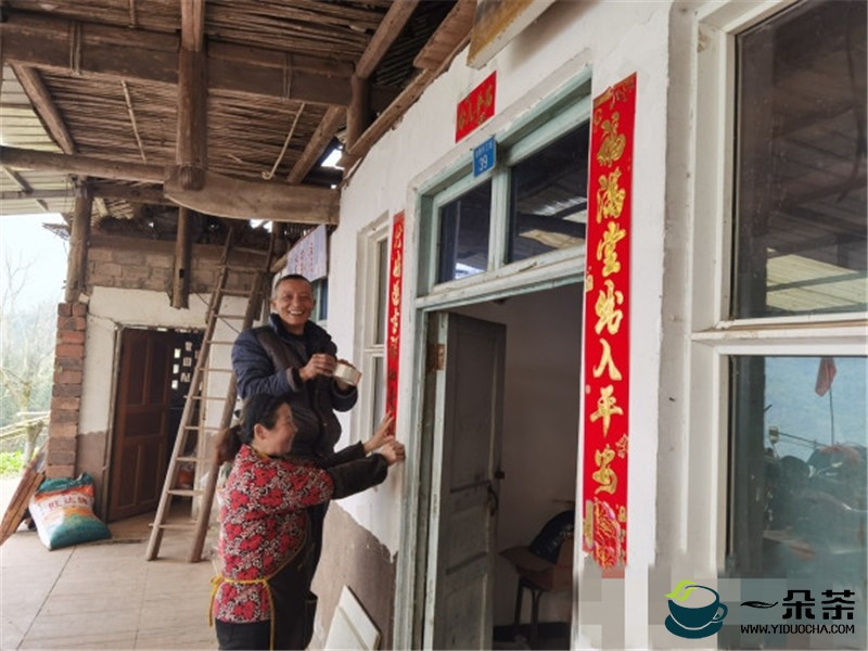 雅安雨城柏香村：茶加养殖，多元搭配产业兴 欢度新春喜盈门 