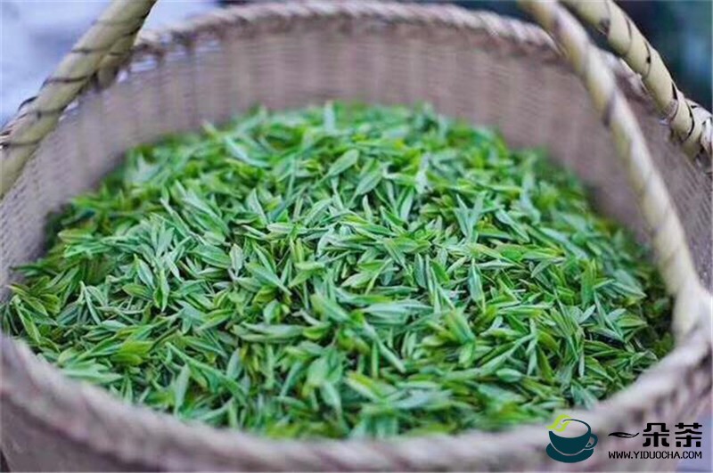 雅安市名山区2020年茶产业发展工作总结