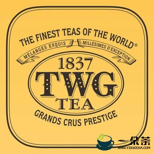 国际茶品牌5|TWG Tea：立足狮城、放眼世界的年轻一代奢侈品茶