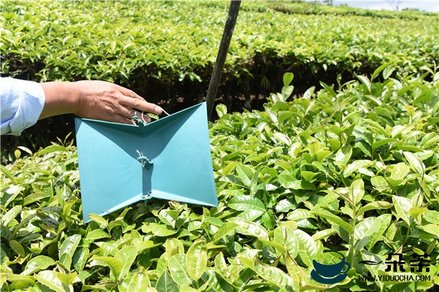 四平市市场监管局开展酒茶市场食品安全专项整治