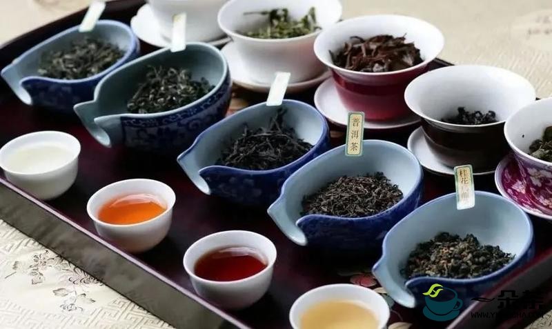 茶业新品牌中，能诞生「中国的立顿」吗？
