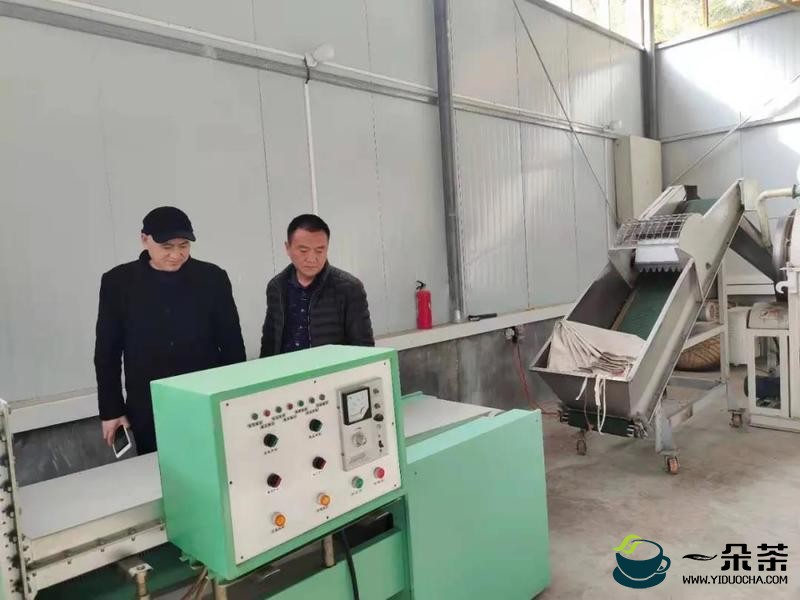 汉中勉县：扎实开展技术服务，确保春茶生产顺利