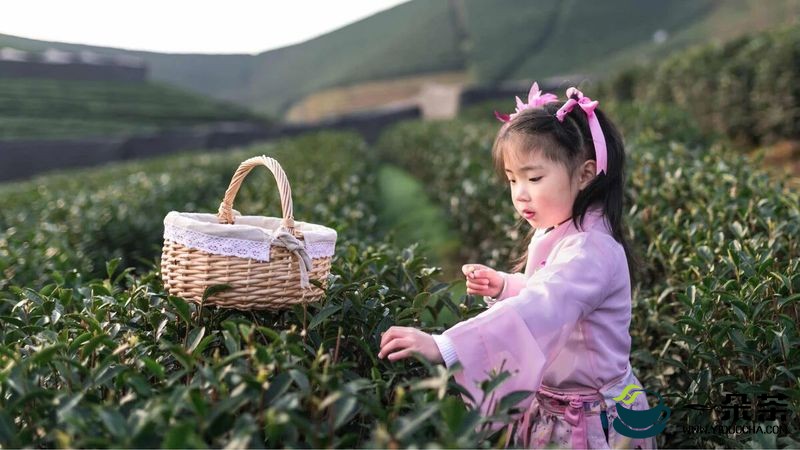 川茶集团：来一场户外探索，拥抱大自然！