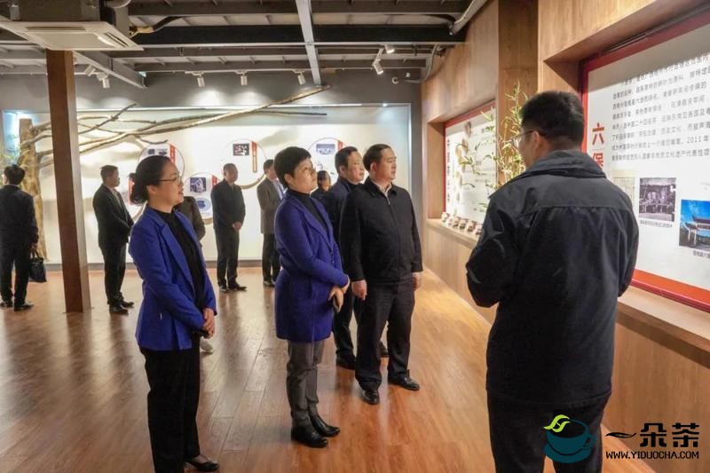 广西自治区政府党组成员蔡丽新调研六堡茶文化和产业发展情况