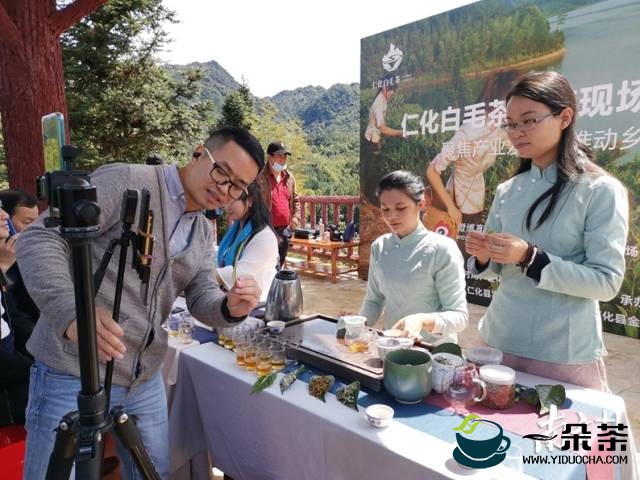 采茶正当时！广东春茶开采节在仁化红山镇举行