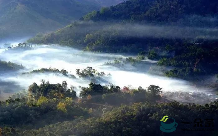 勐海县布朗山乡：守住绿水青山，才能有好茶山
