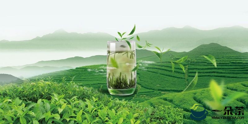 农业农村部茶叶专家指导组：2021年茶园春季生产技术指导意见