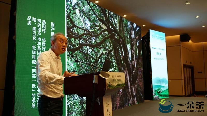 胡继承在浙江·天台茶产业十四五发展战略研讨会上的发言