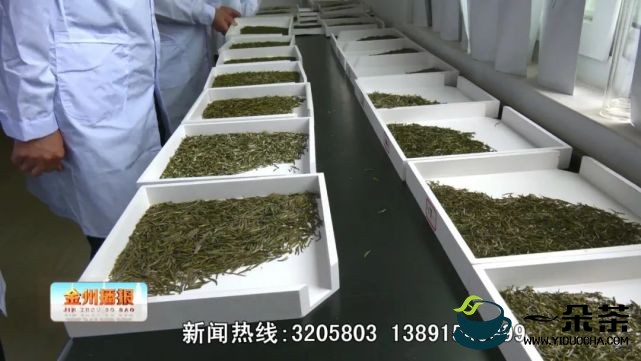 第五届安康富硒茶名优茶大赛“茶王”揭晓