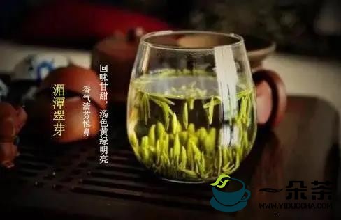 张天福选址的茶场，诞生西湖龙井的贵州“私生子”