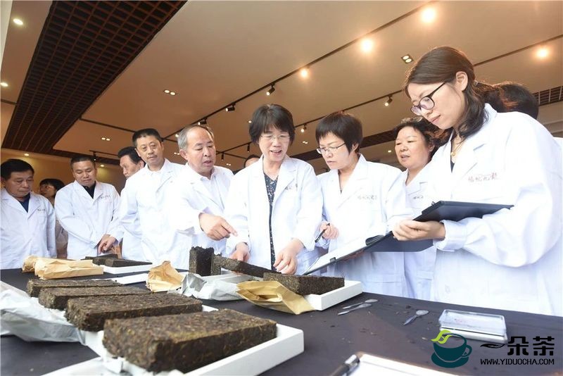 机制茯茶国家标准样品研制工作会议在武义县举行
