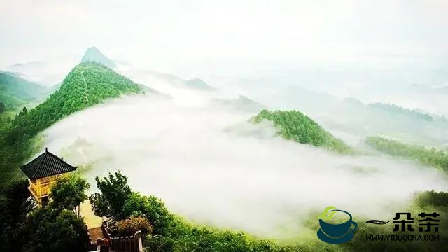 贵州凤冈人真厉害，把锌硒茶卖到了全世界，农民靠茶园创收致富