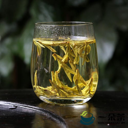 龙井是什么茶 绿茶的种类