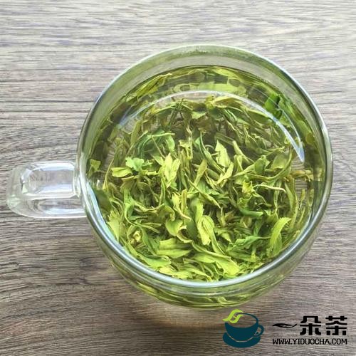 绿茶什么时候喝最好【绿茶适合什么季节喝】