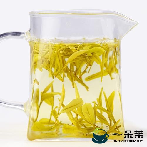 黄金芽茶叶属于什么茶